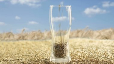 Bira Bardağı tahıl malt ve buğday ile bira ve alkollü içecekler için çiftçilerin hasat arka plan karşı doldurulur. Oktoberfest