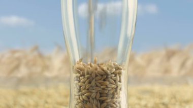 Close-up cam Arpa Malt ve Buğday, tatil ve eğlenceli parti viski onuruna Craft Bira Ale ve alkollü viski yapmak için organik ve doğal ürün kavramı ile doldurulur