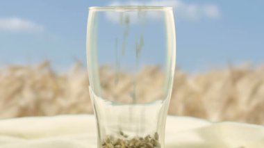 Close-up Cam kupa arpa malt ve buğday zanaat Bira ve Alkollü Whiskey.Organic ve doğal malt brewmaster yapmak için doldurulur. Arka plana karşı bira ve alkollü içecekler