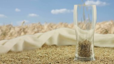 Malt ve malt bir yığın üzerinde bir bira bardağı nın yakın çekim bu cam içine dökülüyor, mavi gökyüzü ve keten kumaş, bir bira festivali bir alan ile dolduruyor