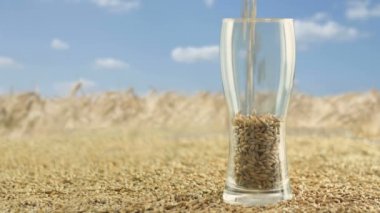 Cam arpa malt ve buğday zanaat Bira ve Alkollü Viski.The doğa kavramı ve bira ve taze şerbetçiotu gibi doğal ürünlerin oluşturulması yapmak için doldurulur. organik ve doğal malt