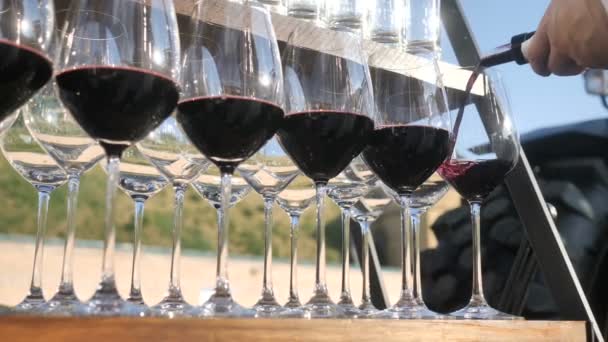 Häller röd italienska och franska röd från en traditionell druvsort, samlas in och görs av jordbrukaren för hantverk vinframställning 4K — Stockvideo
