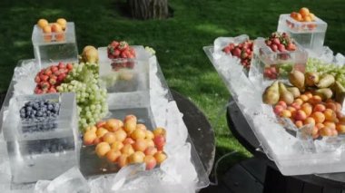 Diyet Sağlıklı Gıda Arka Plan Renkli Meyveler Ice 4k Yavaş hareket