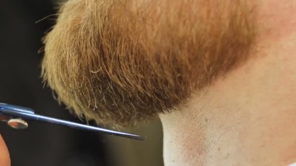 Friseurladen. Nahaufnahme, wie ein Mann Bart geschnitten wird — Stockvideo