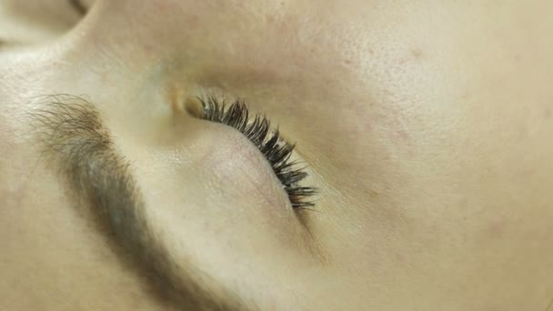 Soins du visage au salon de beauté, lissage des cils avec une brosse spéciale et une spatule en bois — Video