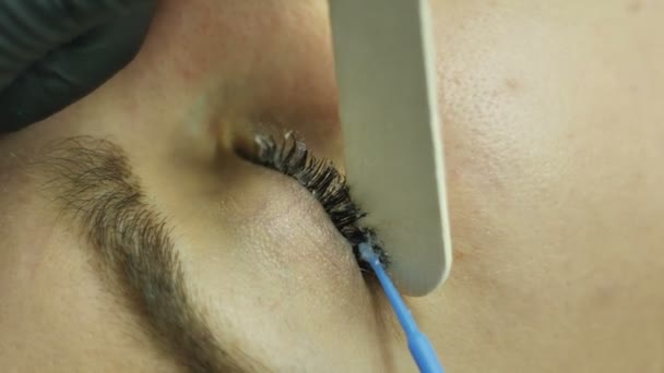 Anwendung eines speziellen Produkts auf die Wimpern zur weiteren Bemalung der Wimpern, Wellness-Behandlungen für das Gesicht im Schönheitssalon — Stockvideo