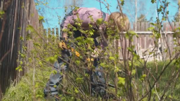 Gammal kvinna som arbetar i en trädgård — Stockvideo