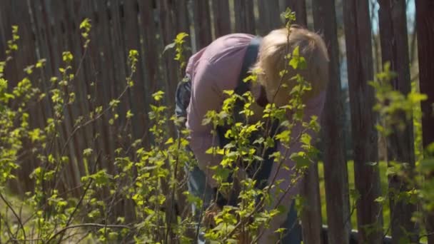 Mujer madura trabajando en un jardín — Vídeos de Stock