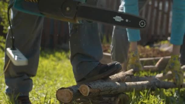Hände einer Frau beim Baumfällen auf dem Hof — Stockvideo
