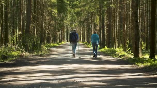 Duas mulheres caminhando na floresta com postes de trekking — Vídeo de Stock