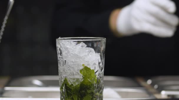 Einen klassischen Mojito-Cocktail zubereiten — Stockvideo