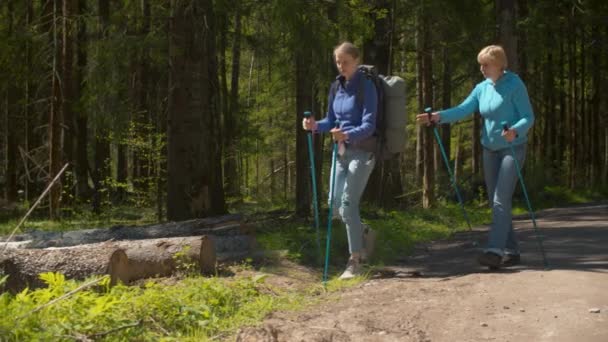 Zwei Frauen beim Spaziergang im Wald — Stockvideo