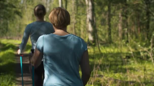 Exercícios de mulheres em caminhadas nórdicas na floresta — Vídeo de Stock