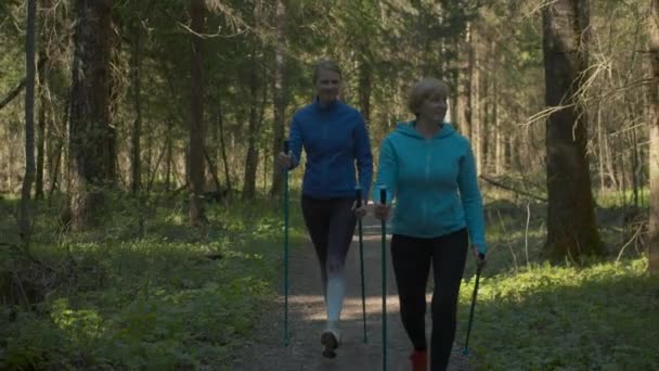 Caminhada nórdica na floresta de primavera — Vídeo de Stock