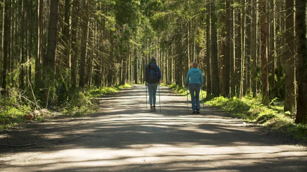 Two women walking in the forest with trekking poles by the dirt road. Rear view. Trekking in the forest, active and healthy lifestyle concept