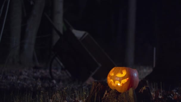 Halloween jack-o-linterna con luz de vela en el bosque nocturno — Vídeos de Stock