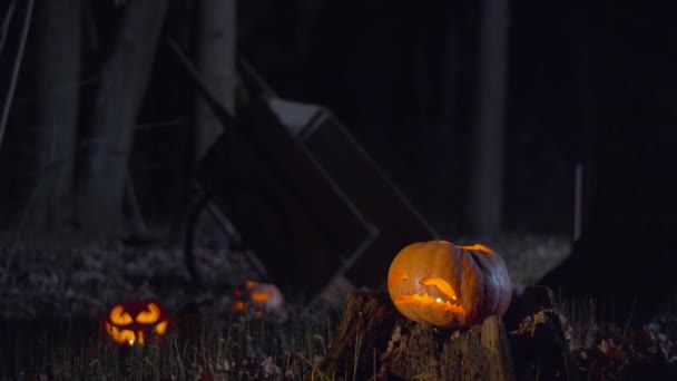 Três halloween jack-o-lanternas com velas luzes — Vídeo de Stock
