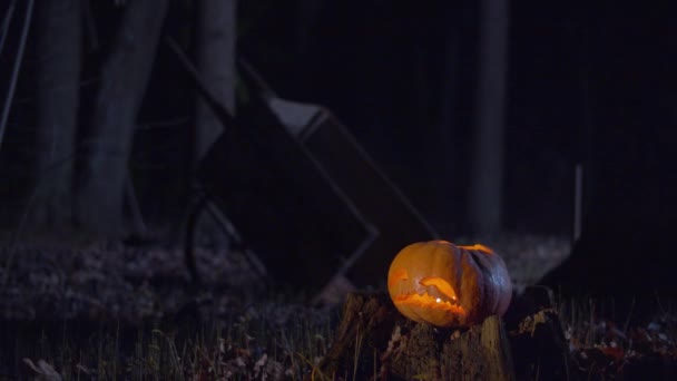 Halloween jack-o-lantaarn met kaarslicht in het nachtbos — Stockvideo