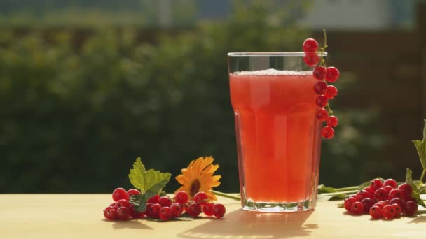 Bebida de fruta de grosella en la mesa — Vídeo de stock