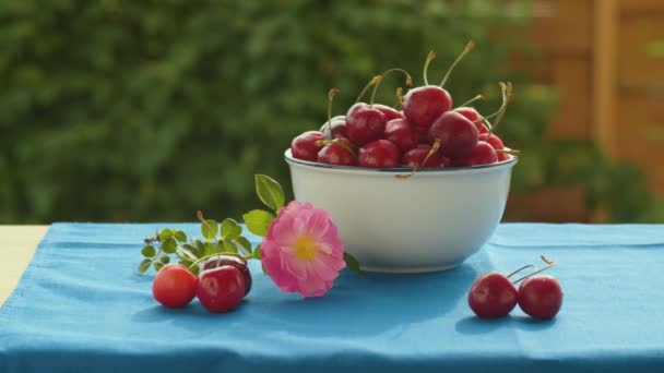 Спелые вишни в миске на столе — стоковое видео