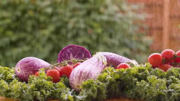 Świeże warzywa w deszczu — Wideo stockowe