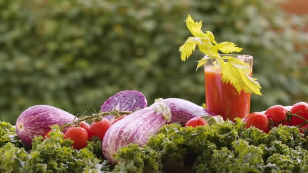 Suco de tomate com aipo — Vídeo de Stock