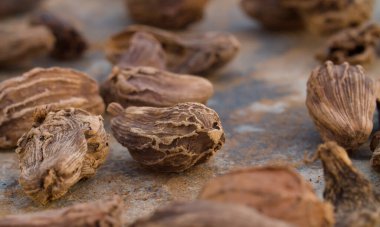 Makro boy kurutulmuş kakule tohumu. Meşhur aromatik baharat. Çok yakın çekim.