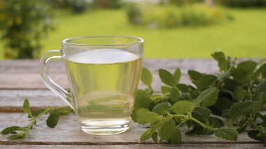 Dışarıdaki eski ahşap masada şeffaf bir bardak Melissa iç. Masada taze taze taze Melissa. Bitkisel tıp konsepti