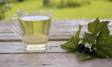 Dışarıdaki eski ahşap masada şeffaf bir bardak Melissa iç. Masada taze taze taze Melissa. Bitkisel tıp konsepti