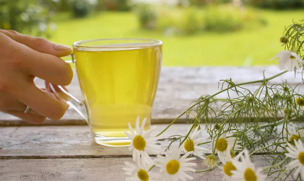 Großaufnahme Transparente Tasse Kamillentee Auf Dem Holztisch Freien Ein Strauß — Stockfoto