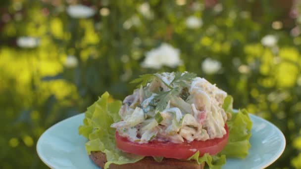 Sandwich with salad, lettuce and tomato — Stock Video