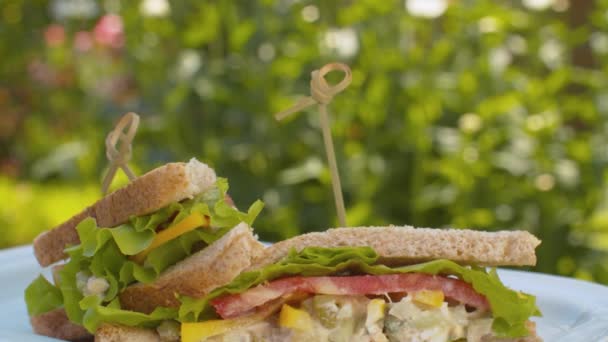 Sándwiches de club en un plato — Vídeo de stock