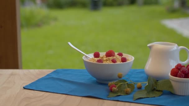 Bowl of muesli with raspberry — Stock Video