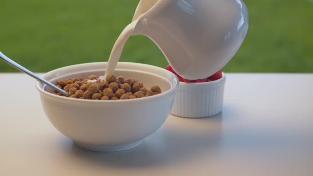 Mléko nalévající se do kukuřičných vloček — Stock video