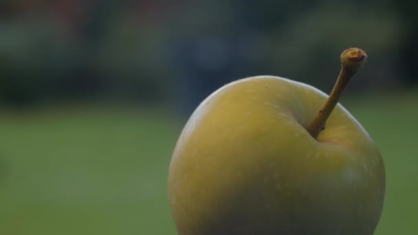 Grönt äpple på bordet utomhus — Stockvideo