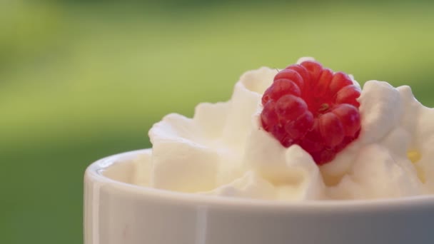 Crème fouettée et framboise dans une tasse — Video