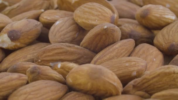 Nueces almendra primer plano — Vídeos de Stock