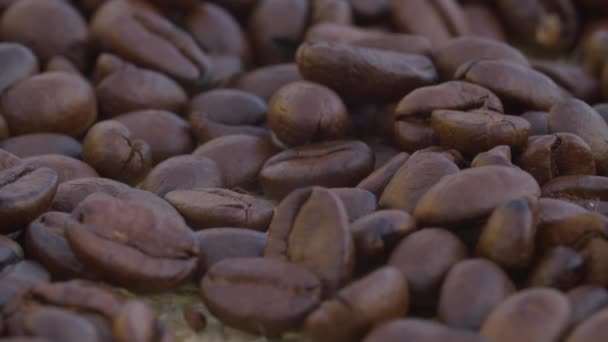 Macro shot of coffee beans — Stock Video