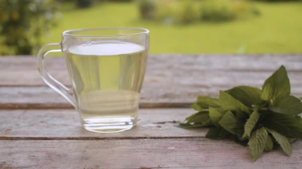 Taza de té de menta y menta fresca — Vídeos de Stock