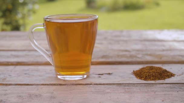 Rooibos tea and rooibos — Stock Video