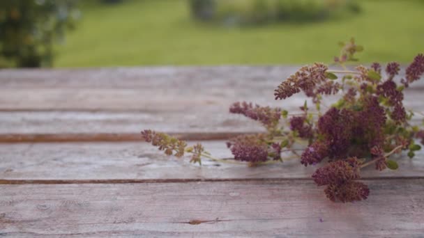 Fresh thyme on wooden table — Stock Video