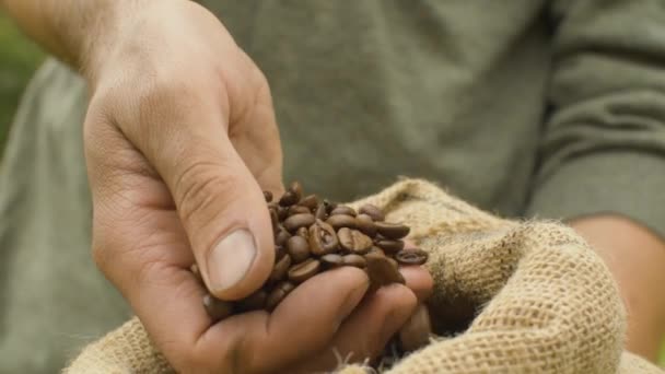 Manos masculinas vertiendo granos de café — Vídeos de Stock