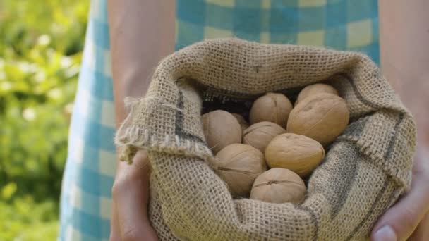 Nueces en un saco de yute de arpillera — Vídeo de stock