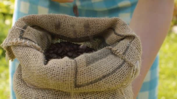 Female hands pouring coffee beans — Stock Video