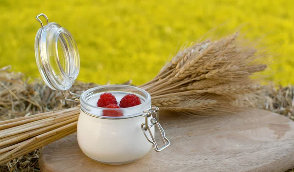 Nahaufnahme Von Joghurt Mit Himbeeren Und Garbe Reifer Roggen Ähren — Stockfoto