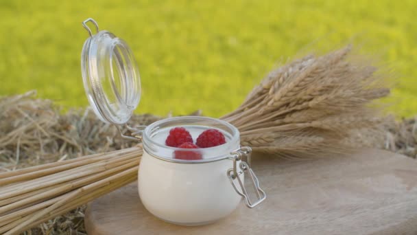 Joghurt und reife Roggen Ähren — Stockvideo