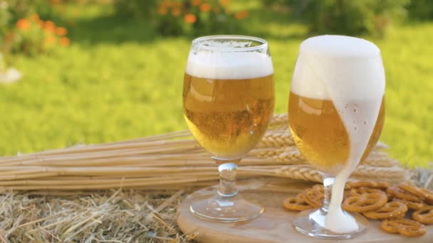 Two glasses of beer in the garden — Stock Video