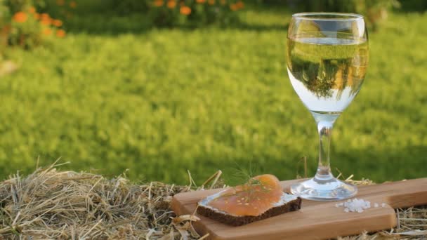 Un verre de vin blanc — Video