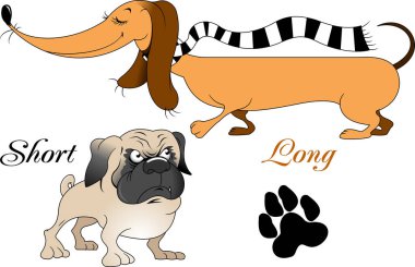 Küçük hem bir vektör çizim ile bir yolda çok uzun köpek 