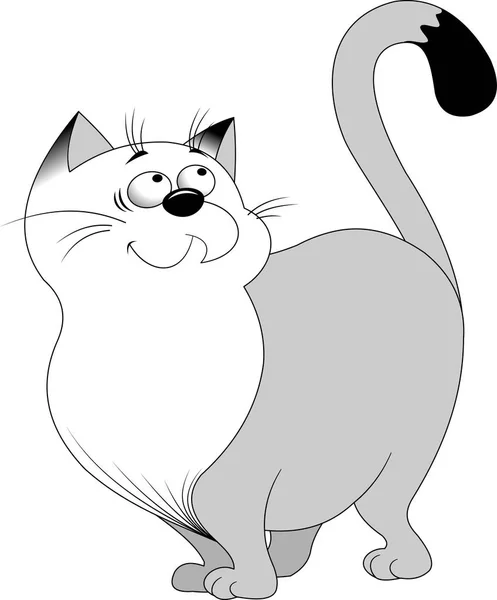 Szary Kot Białą Głową Czarne Uszy Spacery Wektor Ilustracja — Wektor stockowy
